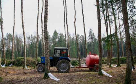 На 31 марта 2020 года Климовичским лесхозом реализовано населению свыше 11 тысяч литров березового сока
