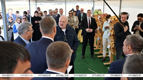 Лукашенко о хранении и реализации картофеля: нужно на полную катушку подключать торговые сети