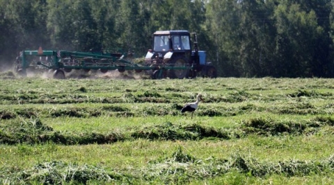В Климовичском районе продолжается заготовка кормов