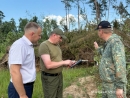 Ураган в Могилевской области: последствия и меры
