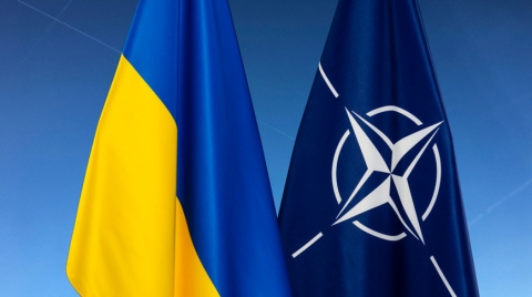 Политолог: на пути в НАТО Украина является ведомой, а Вашингтон - ведущим